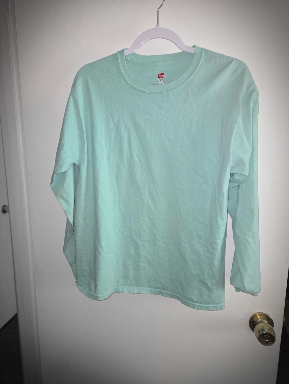 Hanes Long Sleeve Crew Tee - Mint